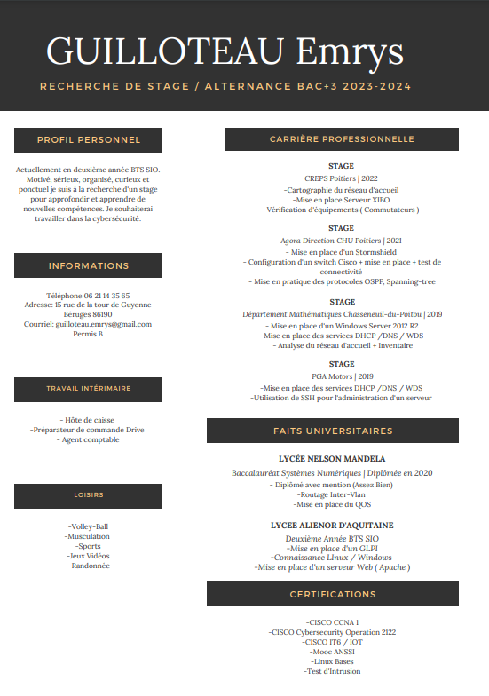 CV Preview