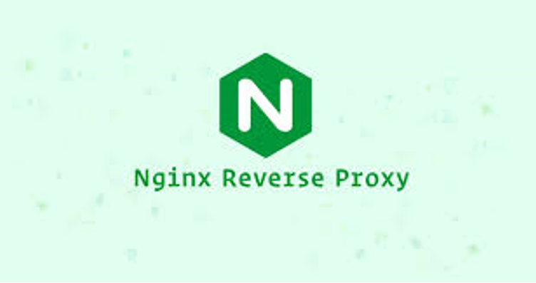 Reverse Proxy